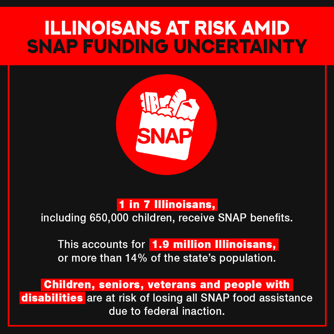 StatewideIL SNAP stats