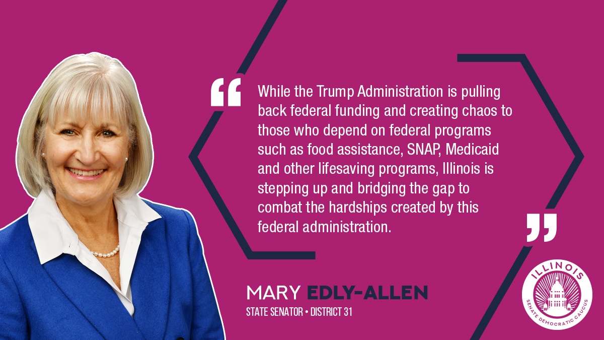 aEdly Allen BudgetAddress Purple